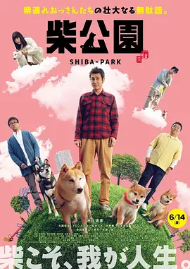 精力充沛的开花