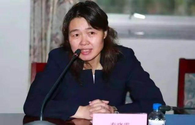 国产乱人乱精一区二区视频密