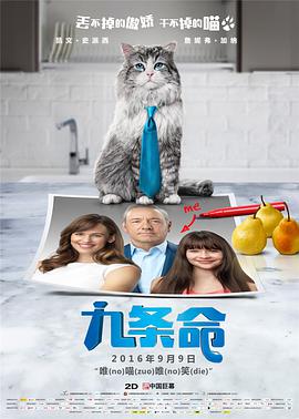 久久精品亚洲欧美va