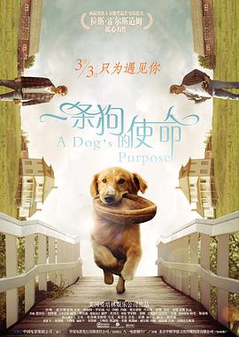 粉嫩福利视频在线观看