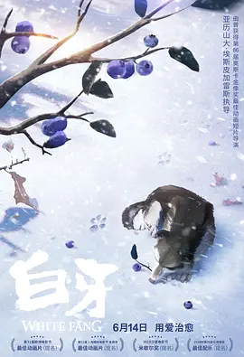 你懂的.com