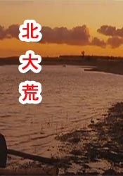 情人特工