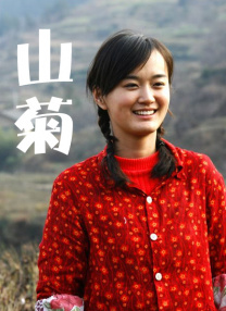 国产在线视频二区