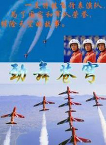 国内精品九一在线播放