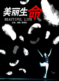 伊人网在线视频观看