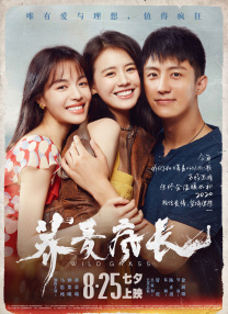 久久久亚洲欧美综合