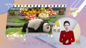 丝瓜视频宝深夜释放自己网站